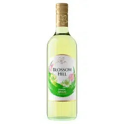 Blossom hill pinot grigio