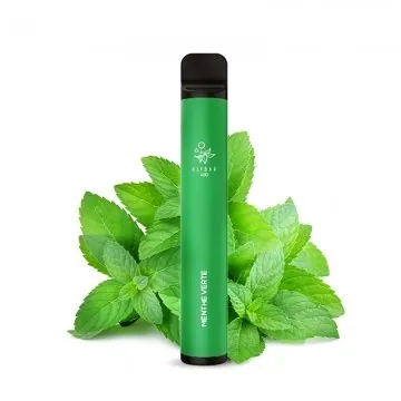 ELFBAR BM600 SPEARMINT KIT