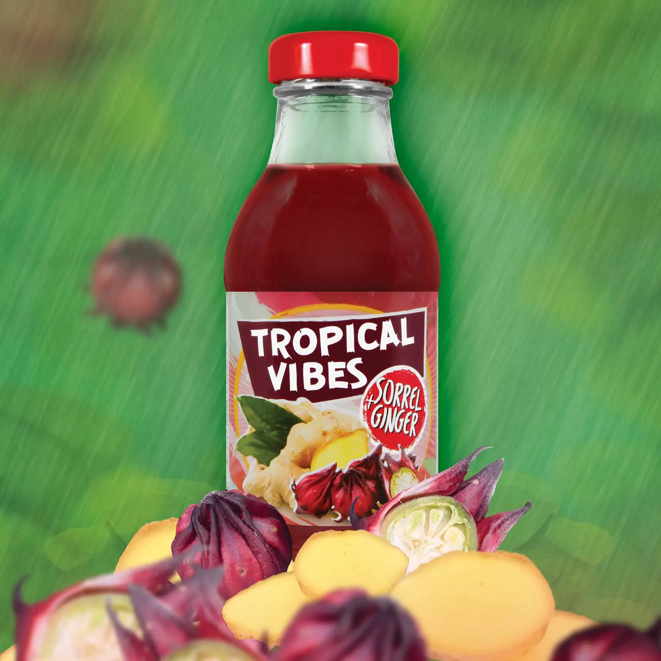 Tropical vibes sorrel ginger