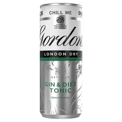 Gordons Gin & Diet Tonic PM £2.25