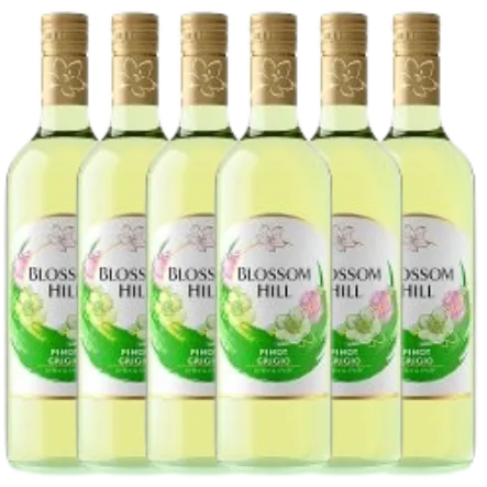 Blossom hill pinot grigio