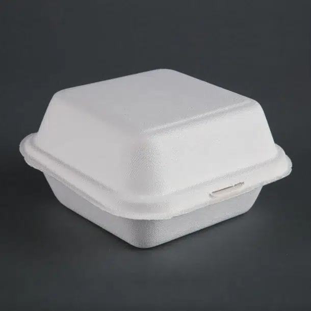 [22734] Eps Small Burger Box hb7