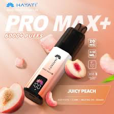 [905907/5] HAYATI PRO MAX+ 6000+ JUICY PEACH KIT